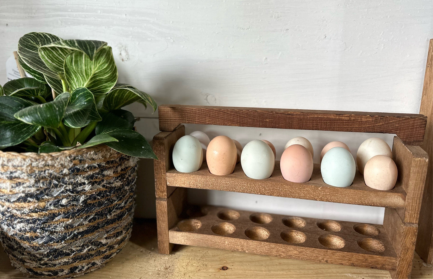 Egg Holder Peg Cover Faux Handle
