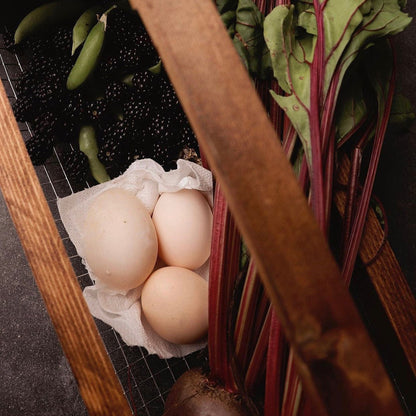 Egg Collection Basket | Fresh Egg Basket | Egg Collecting | Garden Harvest Basket | Garden Basket | Garden Hod | Produce Basket |