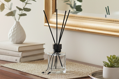 Reed Diffuser Tiktok